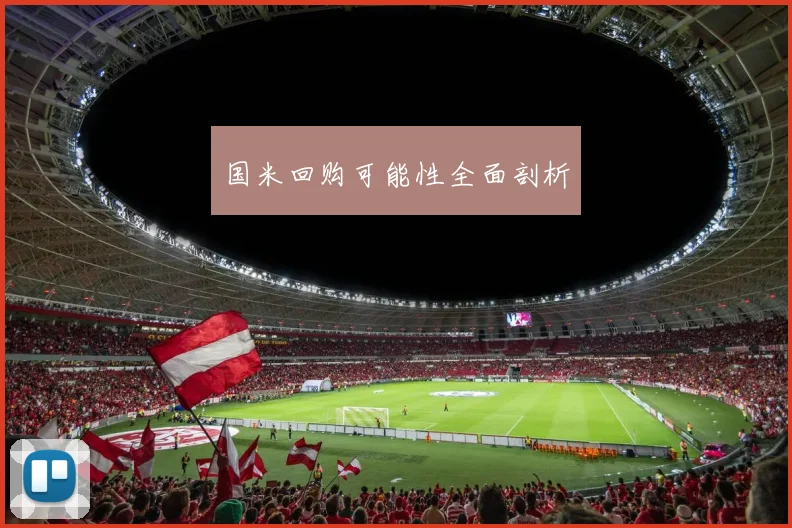 国米回购可能性全面剖析