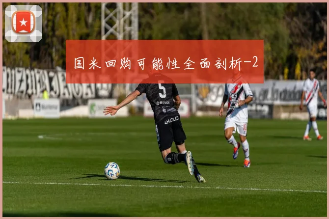 国米回购可能性全面剖析
